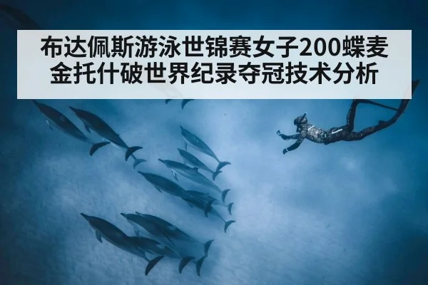 布达佩斯游泳世锦赛女子200蝶麦金托什破世界纪录夺冠技术分析